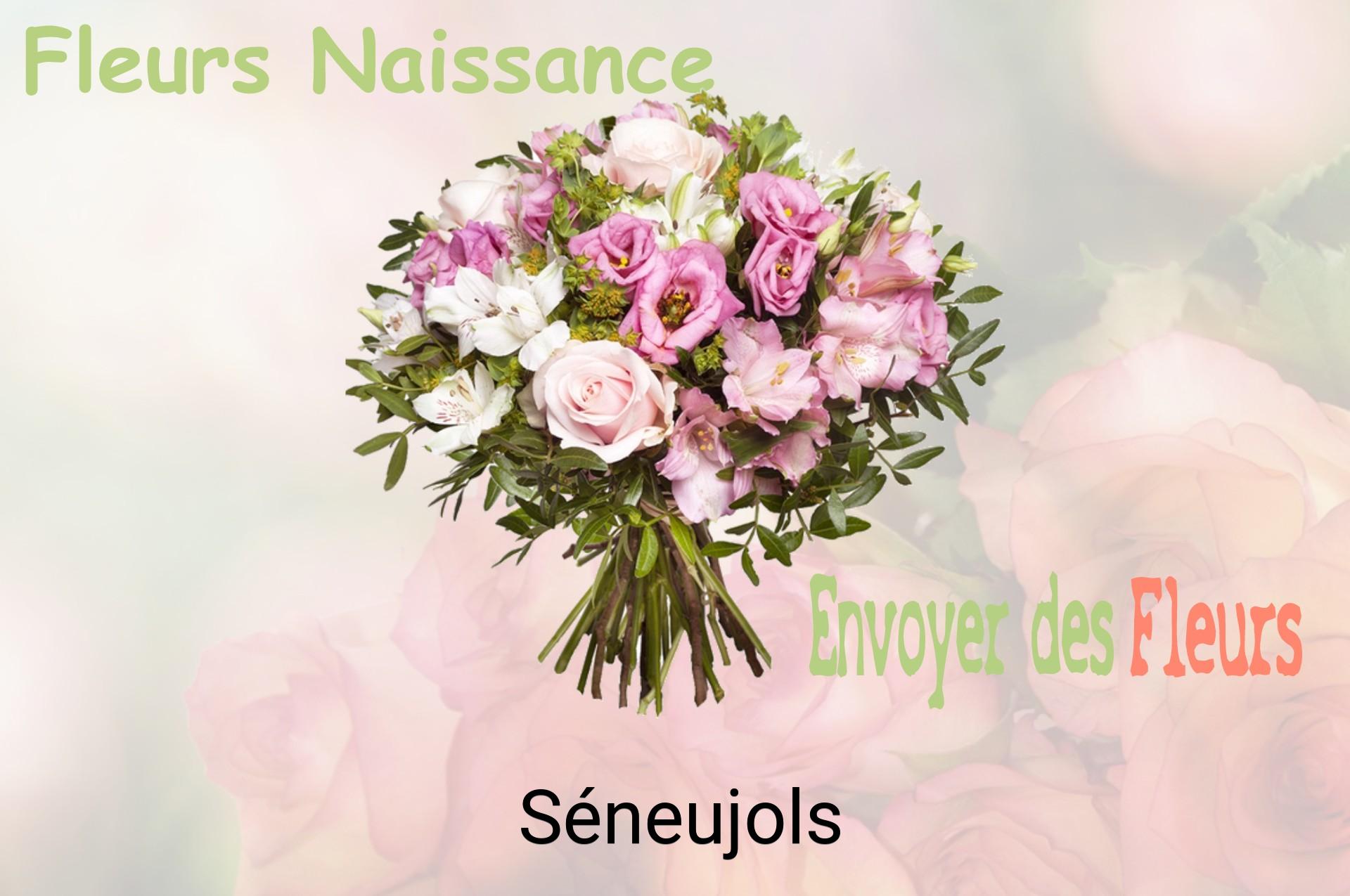 Bouquet de fleurs de naissance livré à Séneujols