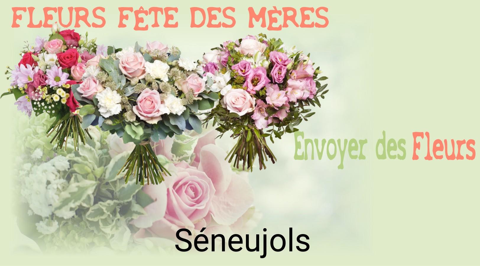 Bouquet de Fête des Mères livré à Séneujols